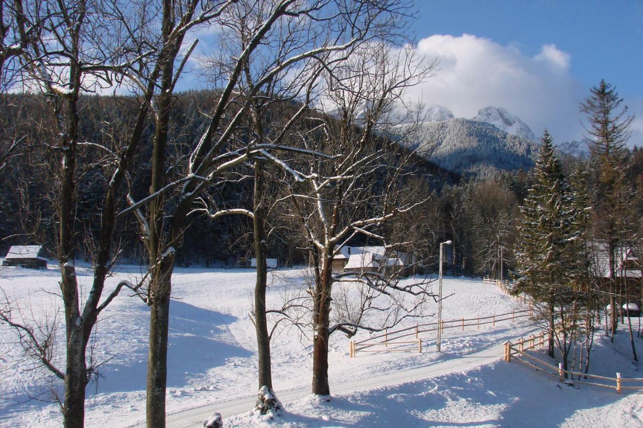 U Lisa Homestay Zakopane