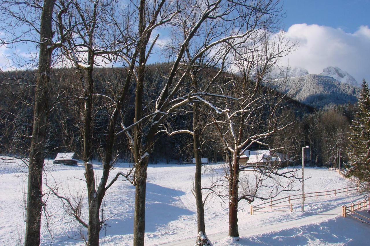 U Lisa Homestay Zakopane