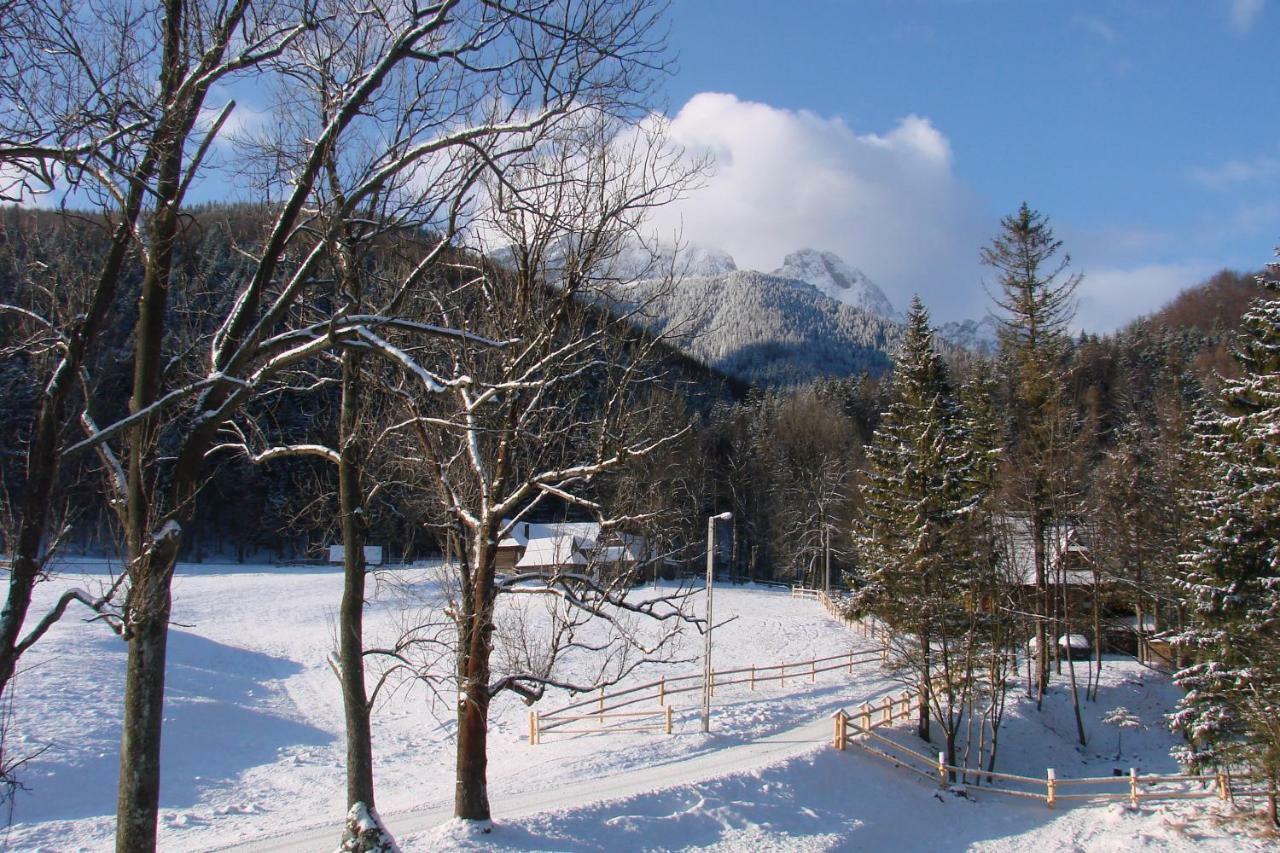 U Lisa Zakopane